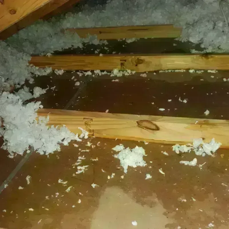 Attic Water Damage in Inkerman, PA